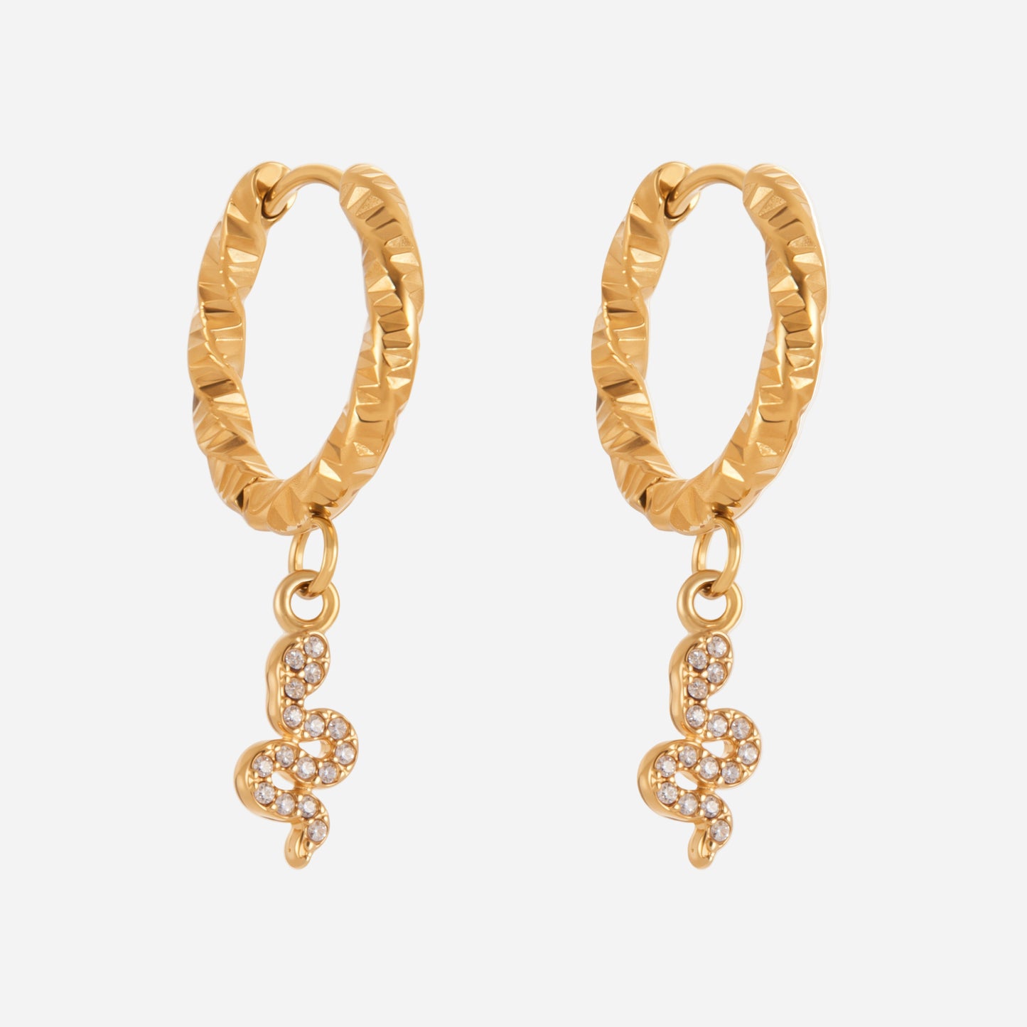 Exquisite 5A Zircon Stainless Steel Earrings Women