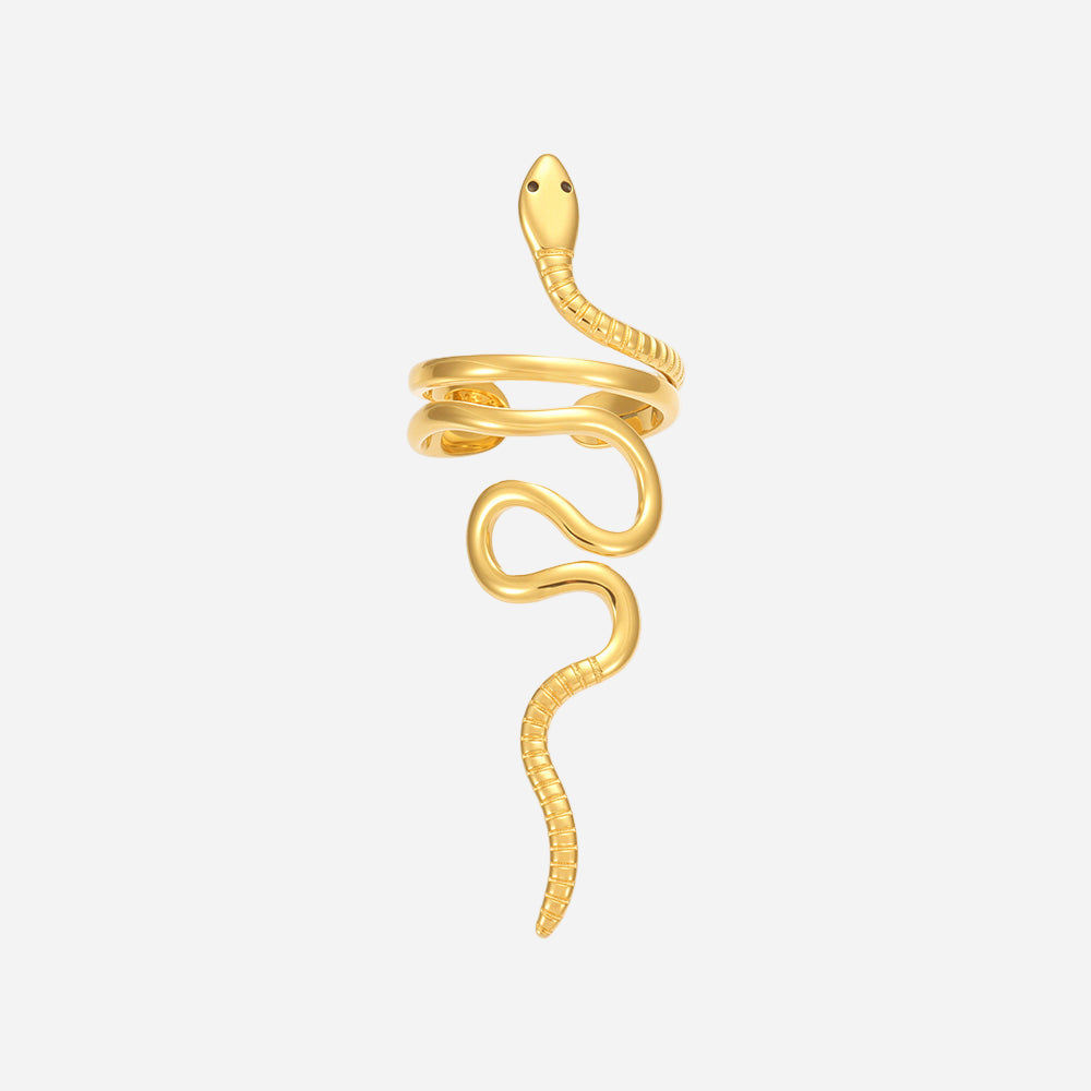 Anillo de serpiente de acero inoxidable con sabiduría y protección de la bobina eterna