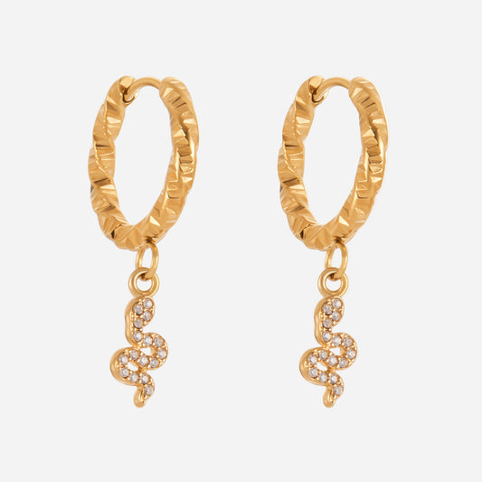 Exquisite 5A Zircon Stainless Steel Earrings Women