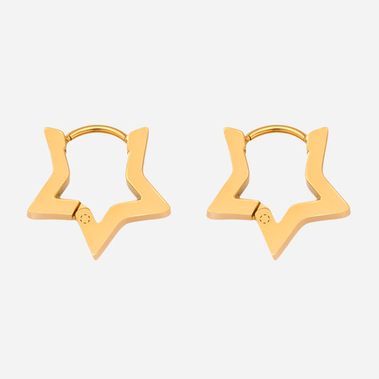 Pentagonal Stainless Steel Earrings