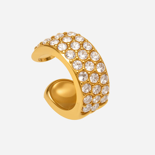 Sparkling Zircon Oval Earrings